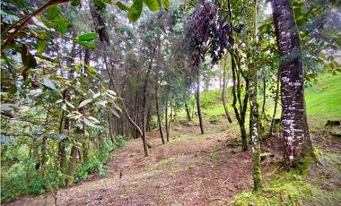 Venta Lote Parcelacion VISTA REPRESA