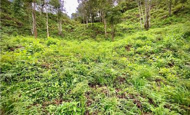 Venta Lote Parcelacion VISTA REPRESA