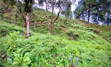 Venta Lote Parcelacion VISTA REPRESA