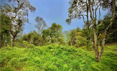 Venta Lote Parcelacion VISTA REPRESA
