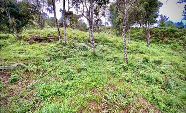 Venta Lote Parcelacion VISTA REPRESA