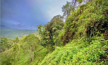 Venta Lote Parcelacion VISTA REPRESA