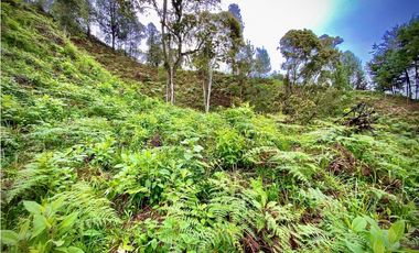 Venta Lote Parcelacion VISTA REPRESA