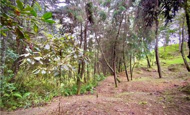 Venta Lote Parcelacion VISTA REPRESA