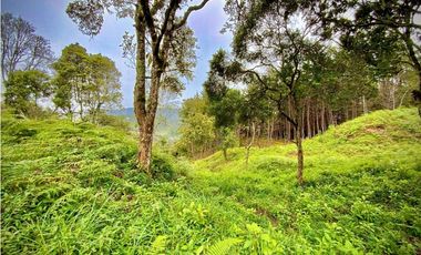 Venta Lote Parcelacion VISTA REPRESA