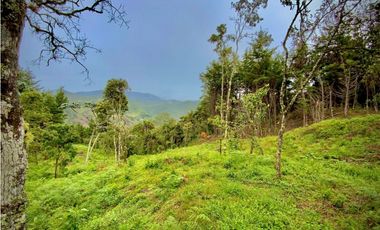 Venta Lote Parcelacion VISTA REPRESA