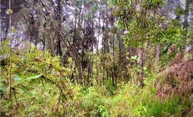 Venta Lote Parcelacion VISTA REPRESA