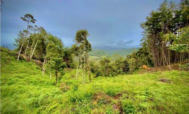 Venta Lote Parcelacion VISTA REPRESA