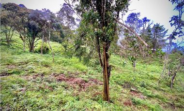 Venta Lote Parcelacion VISTA REPRESA