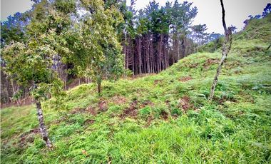 Venta Lote Parcelacion VISTA REPRESA