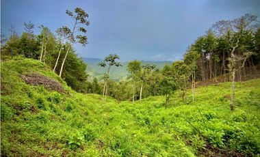 Venta Lote Parcelacion VISTA REPRESA