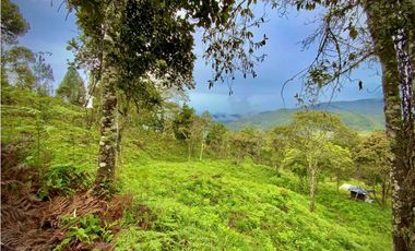 Venta Lote Parcelacion VISTA REPRESA
