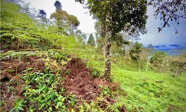 Venta Lote Parcelacion VISTA REPRESA