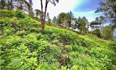 Venta Lote Parcelacion VISTA REPRESA