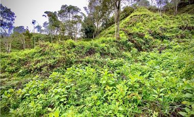 Venta Lote Parcelacion VISTA REPRESA