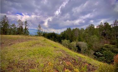 VENTA UNICA OPORTUNIDAD Lote Unidad Cerrada EL Retiro