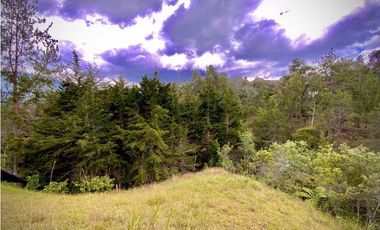 VENTA UNICA OPORTUNIDAD Lote Unidad Cerrada EL Retiro