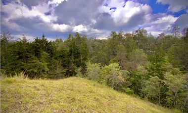 VENTA UNICA OPORTUNIDAD Lote Unidad Cerrada EL Retiro