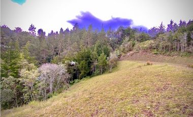 VENTA UNICA OPORTUNIDAD Lote Unidad Cerrada EL Retiro