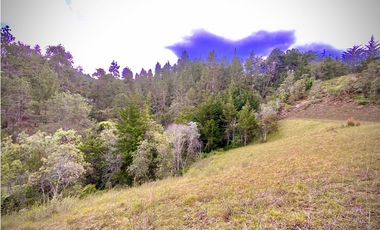 VENTA UNICA OPORTUNIDAD Lote Unidad Cerrada EL Retiro