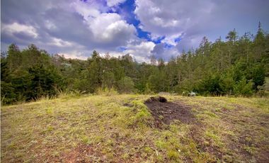 VENTA UNICA OPORTUNIDAD Lote Unidad Cerrada EL Retiro