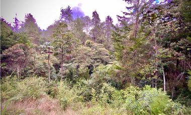 VENTA UNICA OPORTUNIDAD Lote Unidad Cerrada EL Retiro