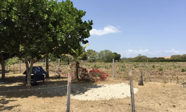 TERRENO / COCLE / RIO HATO / 17,725M / A 300M DE LA PANAMERICANA JC