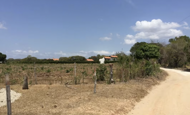 TERRENO / COCLE / RIO HATO / 17,725M / A 300M DE LA PANAMERICANA JC