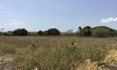 TERRENO / COCLE / RIO HATO / 17,725M / A 300M DE LA PANAMERICANA JC