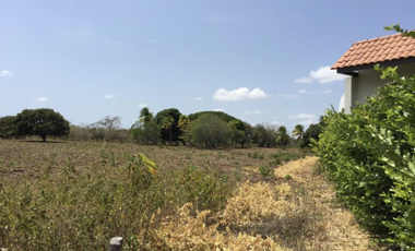 TERRENO / COCLE / RIO HATO / 17,725M / A 300M DE LA PANAMERICANA JC