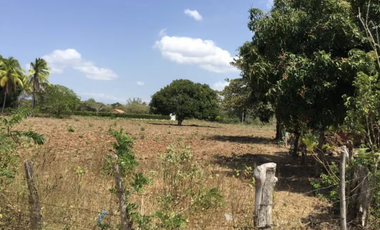 TERRENO / COCLE / RIO HATO / 17,725M / A 300M DE LA PANAMERICANA JC