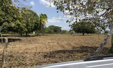 TERRENO / COCLE / RIO HATO / 17,725M / A 300M DE LA PANAMERICANA JC