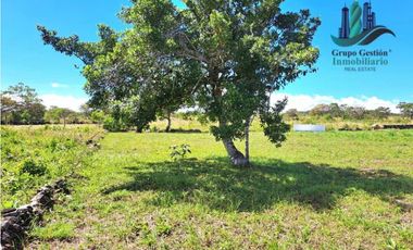 VENDO LOTE DE 900M2 VIA LOS MOLINOS