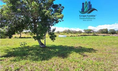 VENDO LOTE DE 900M2 VIA LOS MOLINOS