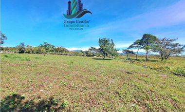 VENDO LOTE DE 900M2 VIA LOS MOLINOS