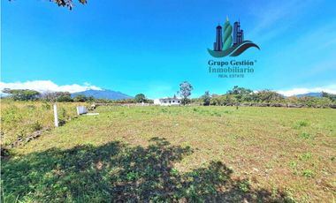 VENDO LOTE DE 900M2 VIA LOS MOLINOS