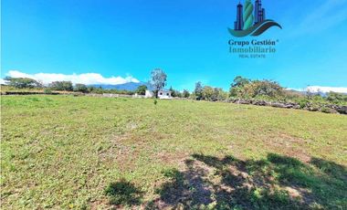 VENDO LOTE DE 900M2 VIA LOS MOLINOS