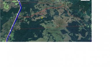 VENDO CAMPO GANADERO ZONA SANTA ANA MNES