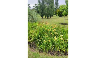 LOS ACANTILADOS - EXCLUSIVA PROPIEDAD SOBRE 2,39 HAS. DE PARQUE