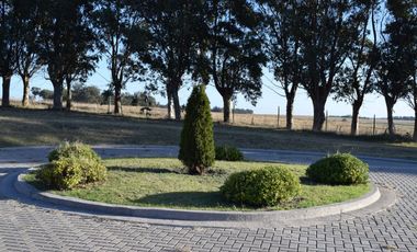 TIERRA & MAR- Country del Golf