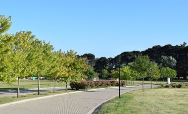 TIERRA & MAR- Country del Golf