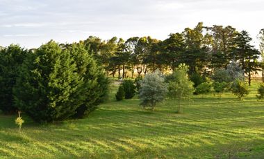 TIERRA & MAR- Country del Golf