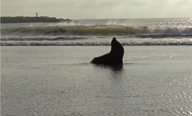 -CABAÑAS KLIPPEN -  TODO EL AÑO - TEMPORADA 2024-2025