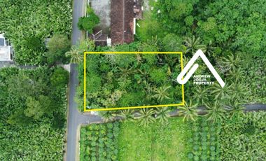 Jual Tanah Pinggir Jalan Akses Mudah View Gunung Udara Sejuk