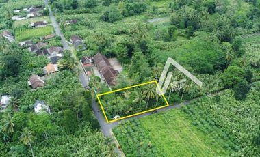 Jual Tanah Pinggir Jalan Akses Mudah View Gunung Udara Sejuk