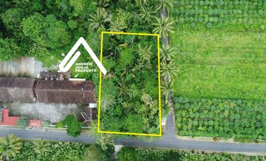 Jual Tanah Pinggir Jalan Akses Mudah View Gunung Udara Sejuk