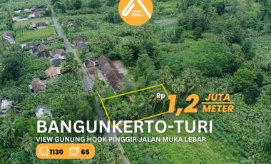 Jual Tanah Pinggir Jalan Akses Mudah View Gunung Udara Sejuk