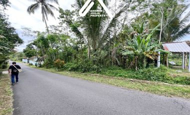 Jual Tanah Pinggir Jalan Akses Mudah View Gunung Udara Sejuk