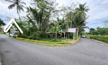 Jual Tanah Pinggir Jalan Akses Mudah View Gunung Udara Sejuk