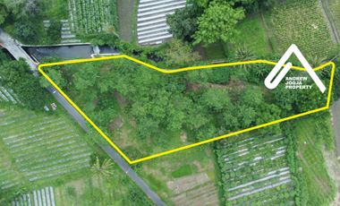 Jual Tanah Pinggir Sungai Utara Masjid Suciati Akses Mudah View Gunung